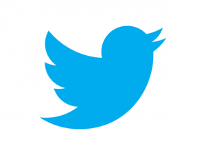 twitter-bird