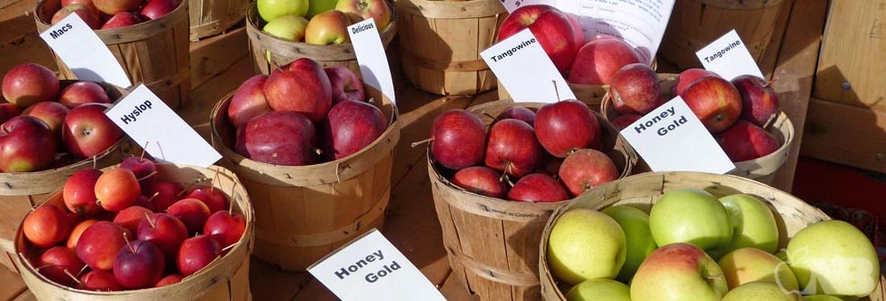 Apple Growers of New Brunswick