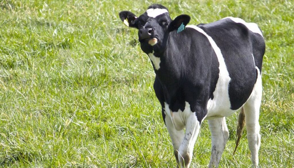 5044695727_35aa767119_z