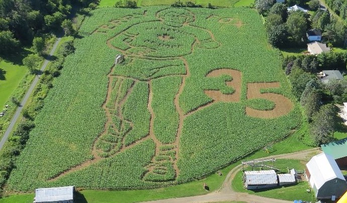 Corn Maze at Hunter Brothers Farm Market