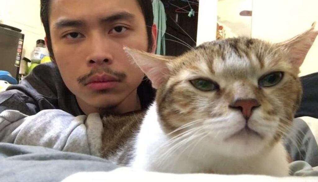 Chill Cat