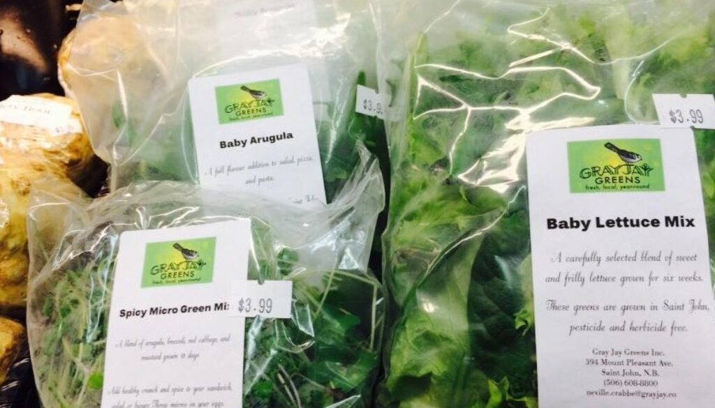 Saint John’s Gray Jay Greens Now On Shelves