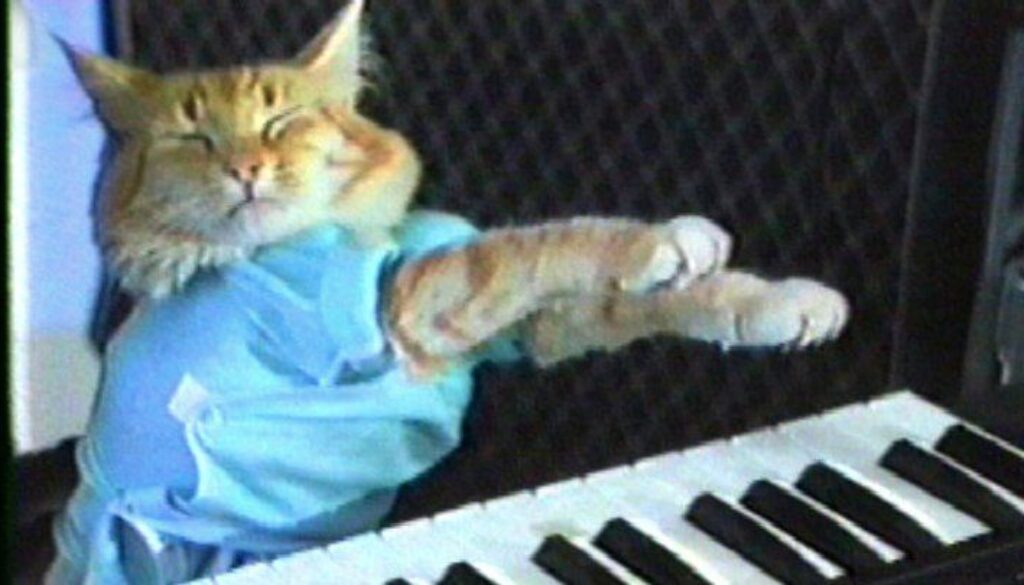 keyboardcat-970-80