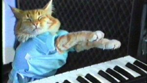 keyboardcat-970-80