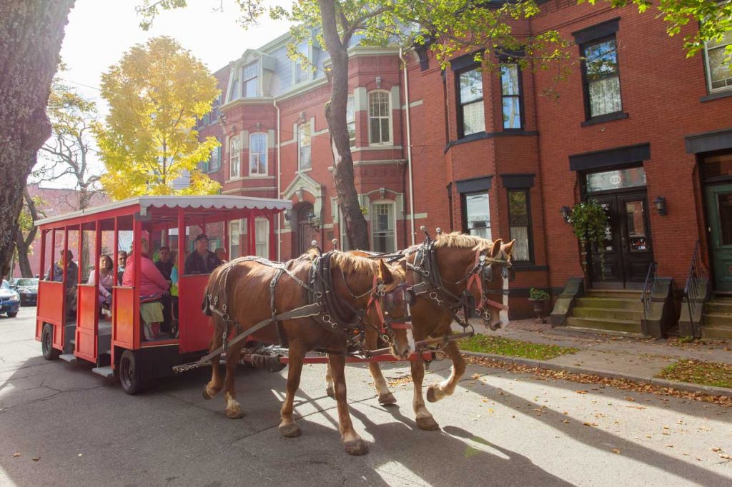Image: Discover Saint John