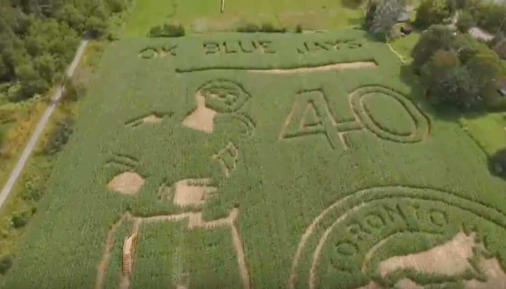 Joey Bats Corn Maze