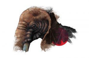 It all started with an elephant . . . Image: Submitted