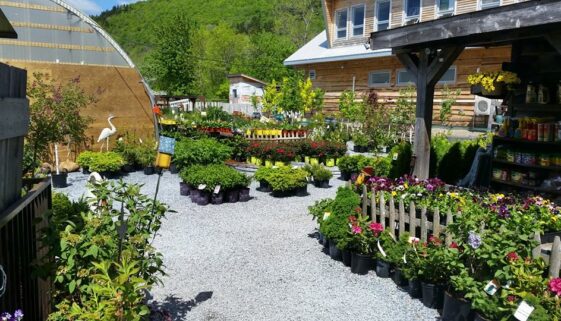 13325511_1047181175356743_8934380506287762930_n