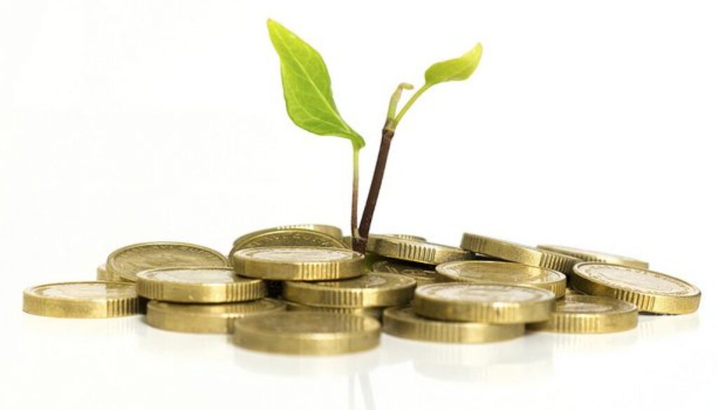 money, growth, investment