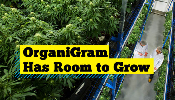 organigram-cap-g
