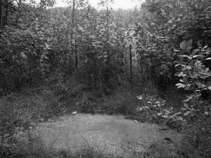 rebecas-grave-flckr-jen-savage