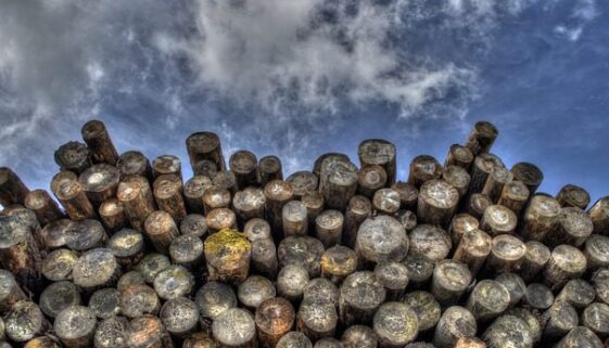 logs-498538_640, lumber