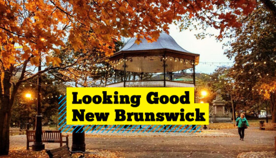 looking-good-nb