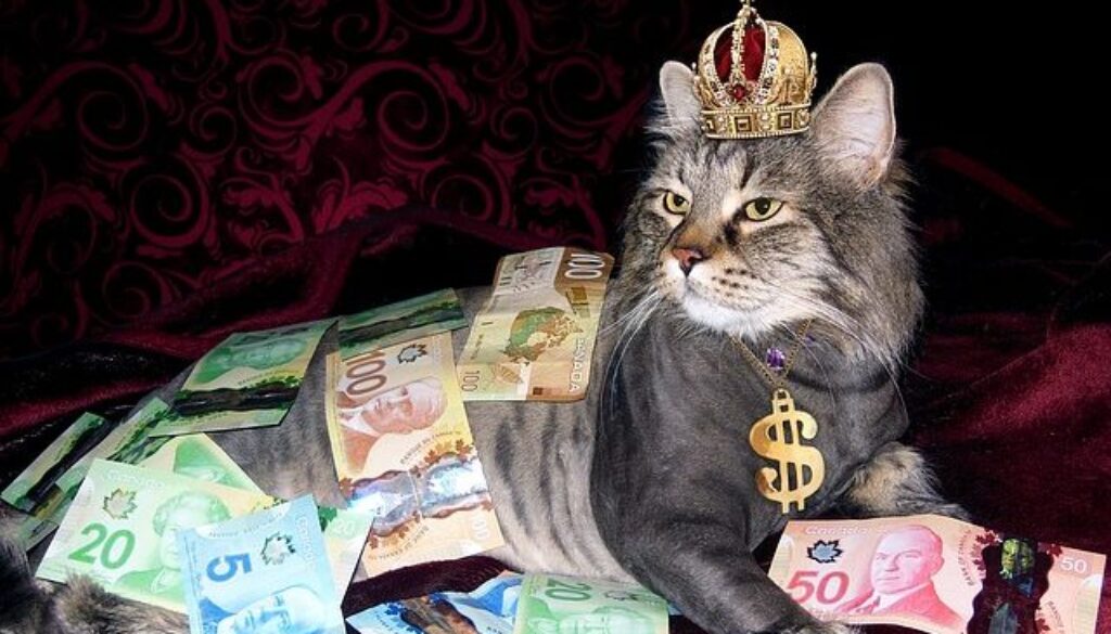 money-1144553_640, CAT