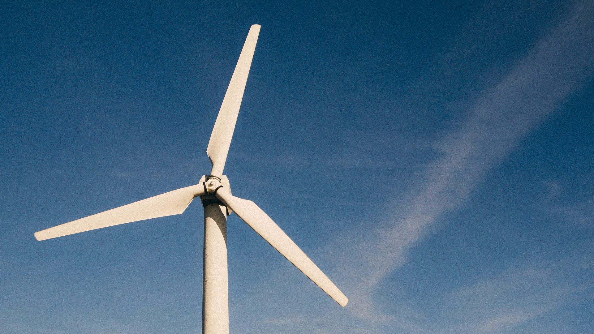 EverWind Pursues Ambitious Green Hydrogen And Ammonia Plant In Point ...