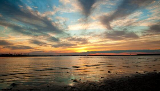shediac