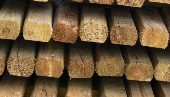 wood lumber
