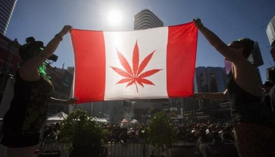 marijuana