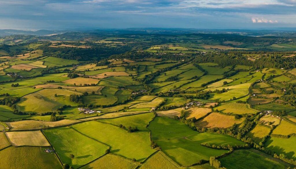 Terra_Earth_Header_LARGE-saveforweb