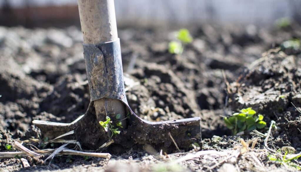 shovel, dig, digging, landscaping