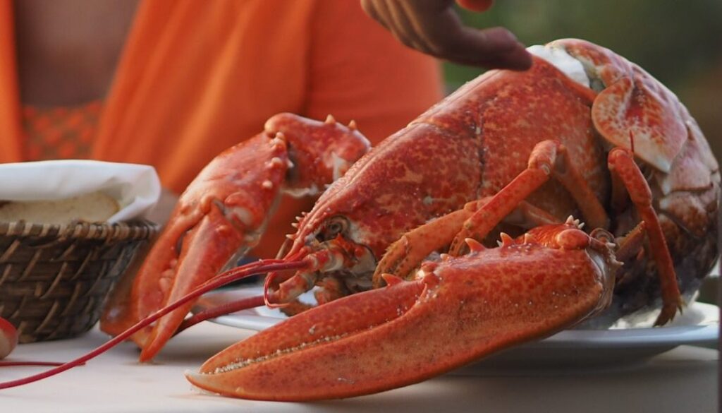 lobster dinner