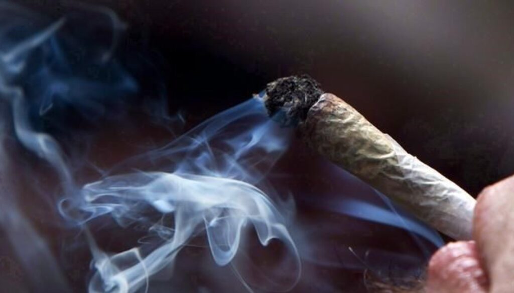 weed pot marijuana cannabis