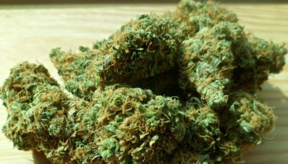 cannabis-448661_1920, pot, marijuana