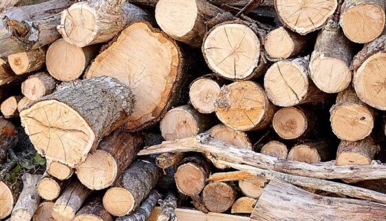 Lumber