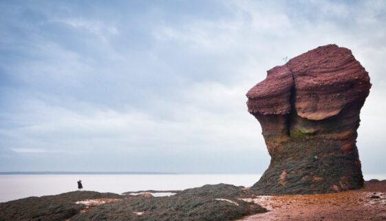 6000931458_f43e6b5cb6_b