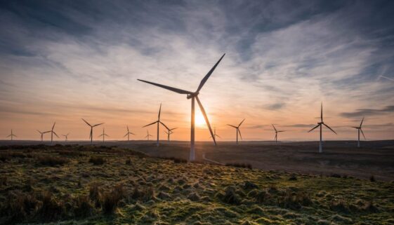 wind-farm