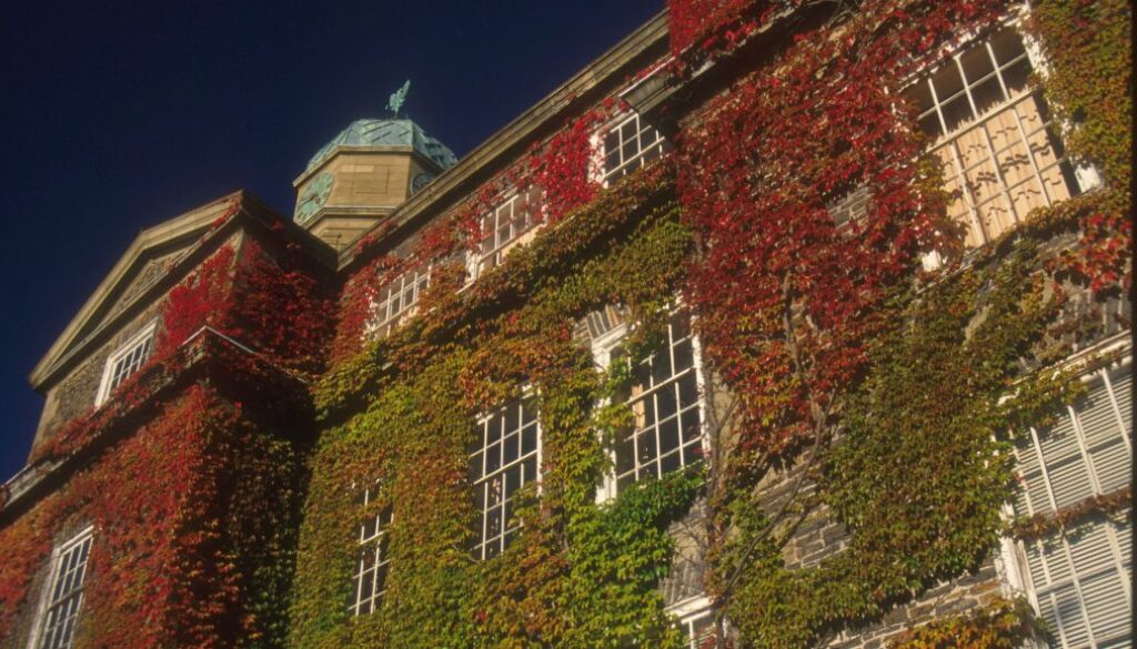 Dalhousie_Vines