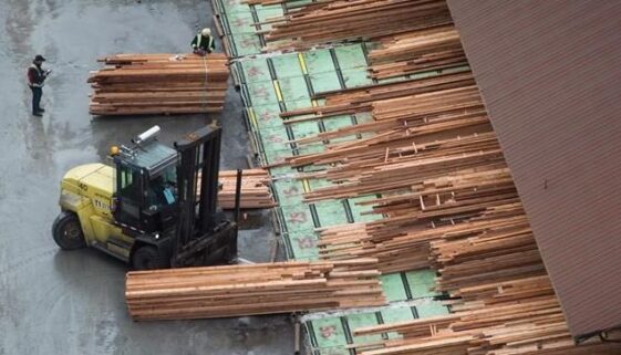lumber industry
