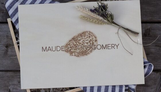 22405453_300603367013061_2710085012084462710_n