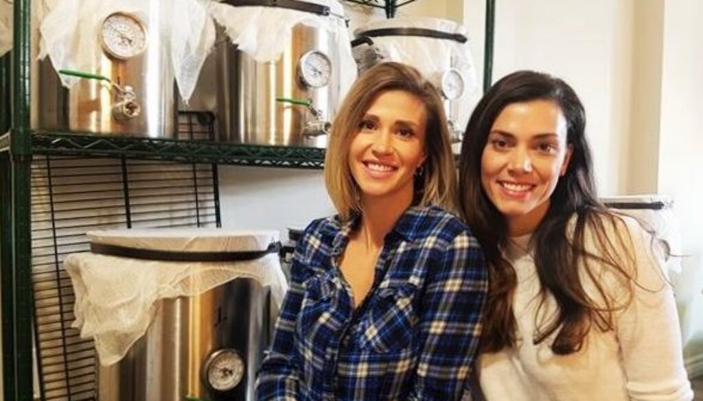 Kissing Rocks Kombucha