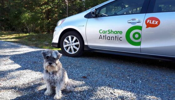 carshare