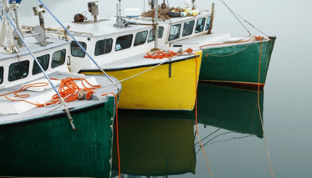 Three Fishing boats in a row