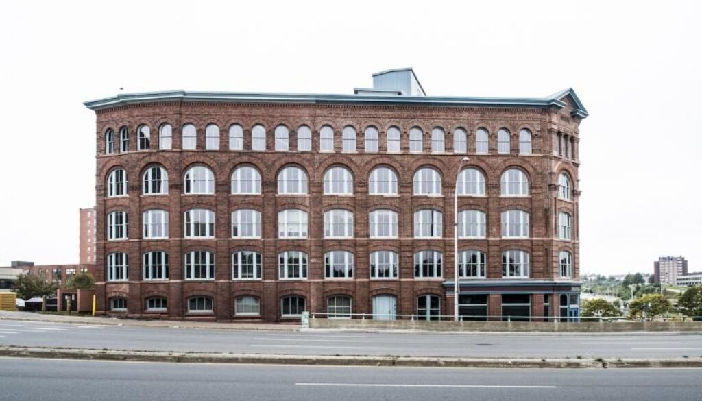 red_rose_-15_lrg_copy