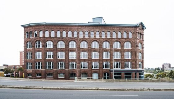 red_rose_-15_lrg_copy