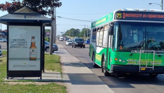 University-Ave-at-Goodlife-Indigo-1024x768