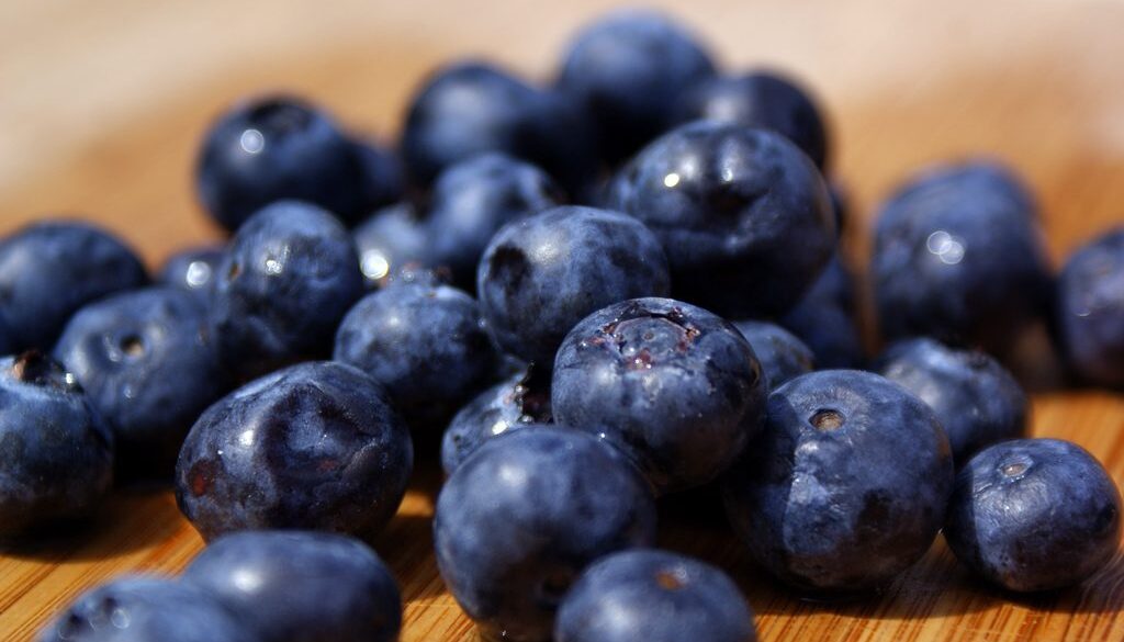 3442289155_64a68c5b2d_b