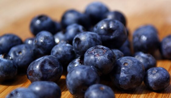 3442289155_64a68c5b2d_b