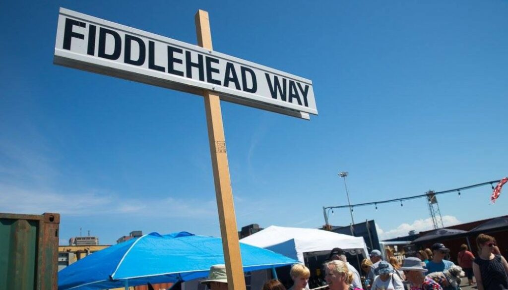 20689747_690862267777568_9063103857065934075_o