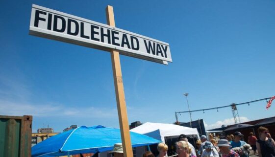 20689747_690862267777568_9063103857065934075_o