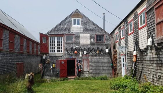 seal cove
