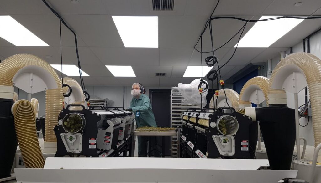 42671697_448891338851573_413016063911919616_n (1)