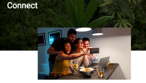Cannabis NB