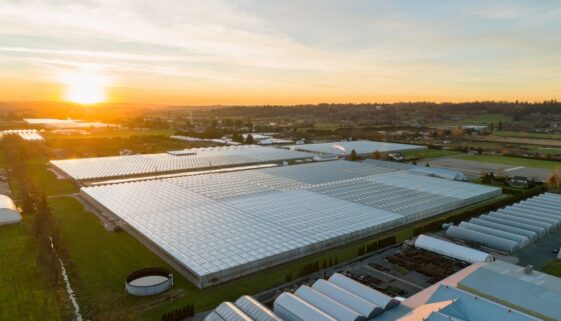 Photo 4 - Bevo Langley Facility