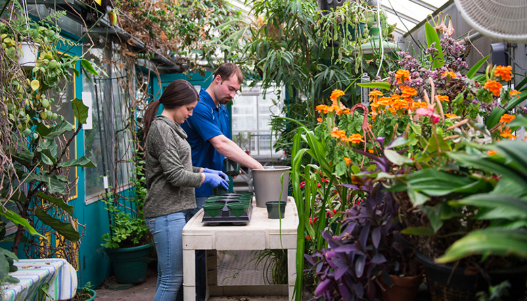 Screenshot 2019-01-25 12.39.51