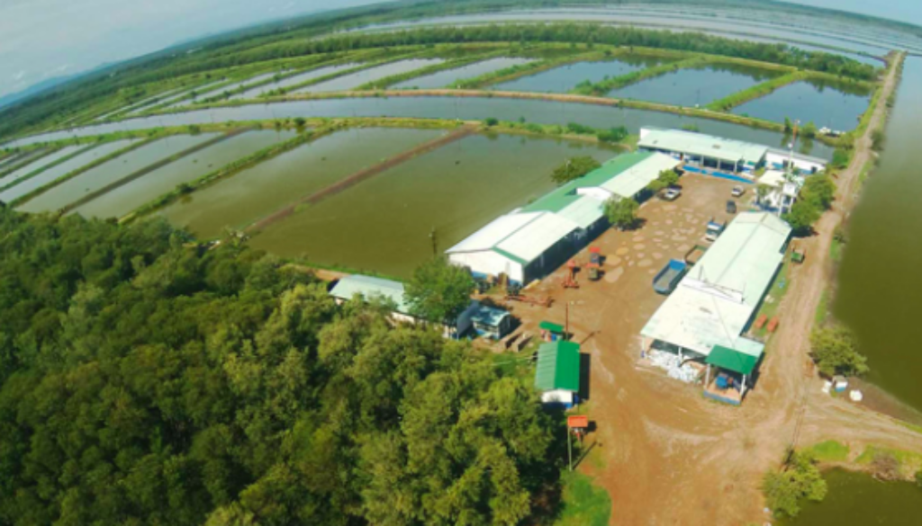 Screenshot 2019-02-04 16.57.39