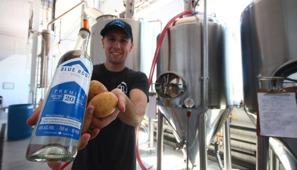 Devon Strang Blue Roof